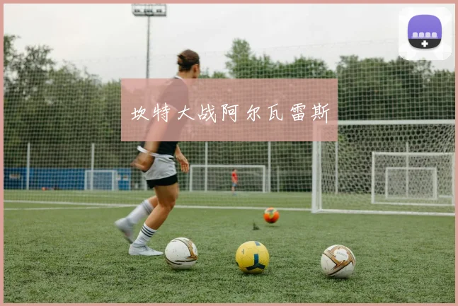 坎特大战阿尔瓦雷斯