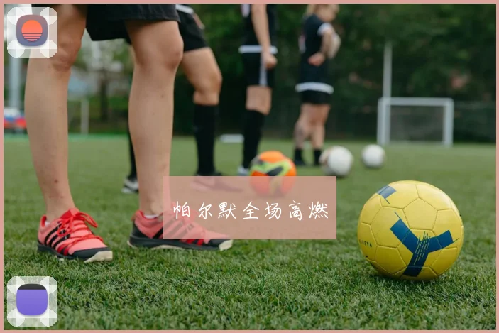 帕尔默全场高燃