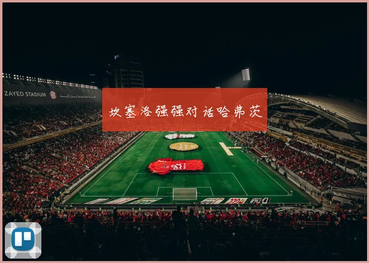 坎塞洛强强对话哈弗茨