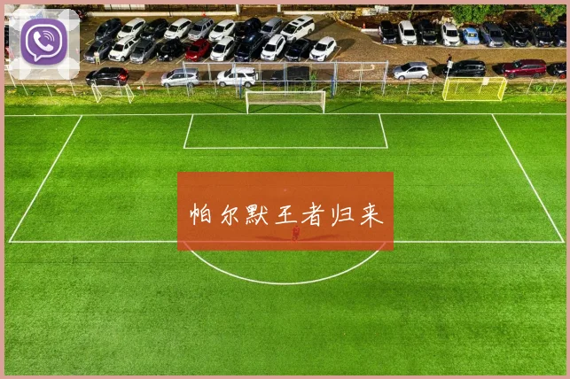 帕尔默王者归来
