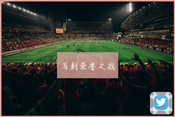 马刺荣誉之战