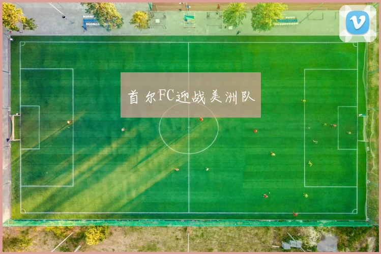 首尔FC迎战美洲队