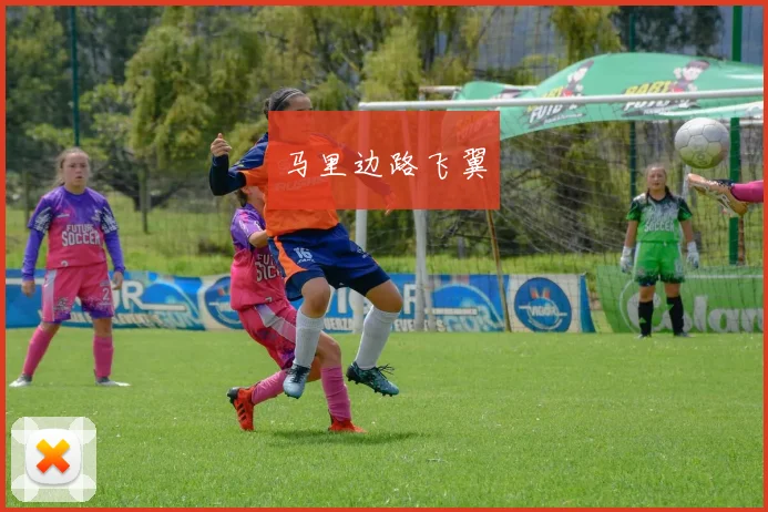 马里边路飞翼