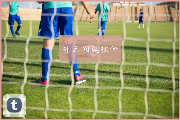 开云网站软件