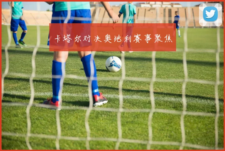 卡塔尔对决奥地利赛事聚焦
