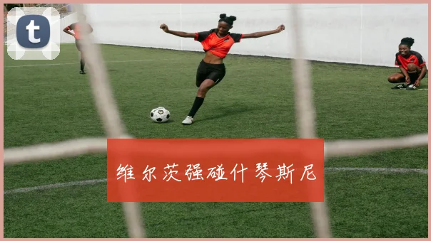 维尔茨强碰什琴斯尼