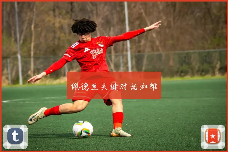 佩德里关键对话加维