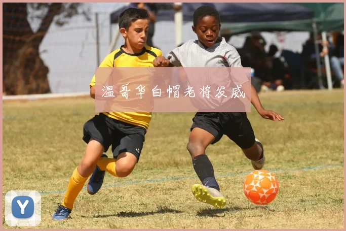 温哥华白帽老将发威