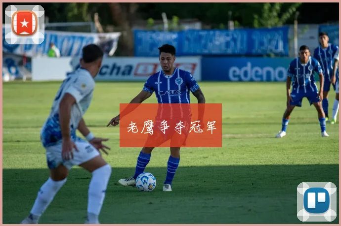 老鹰争夺冠军