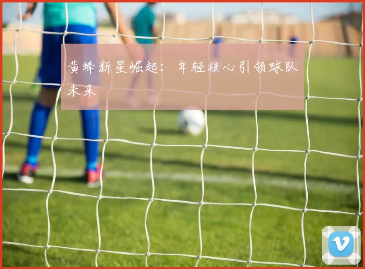 黄蜂新星崛起：年轻核心引领球队未来