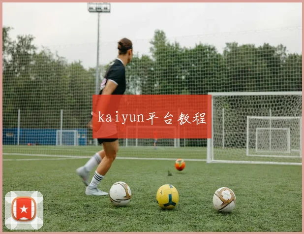 kaiyun平台教程