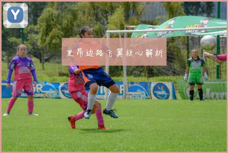里昂边路飞翼核心解析