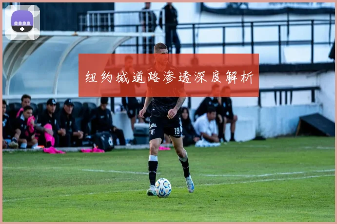 纽约城道路渗透深度解析