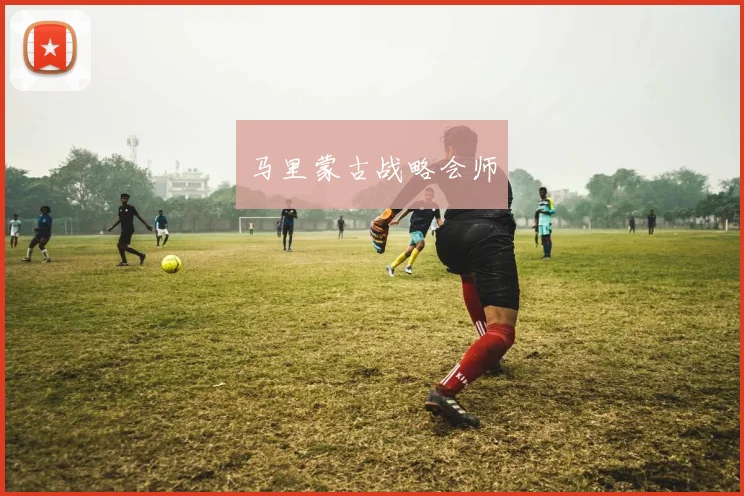 马里蒙古战略会师