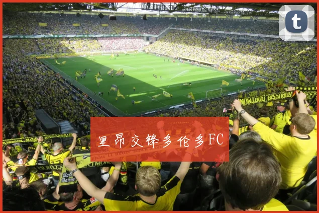 里昂交锋多伦多FC