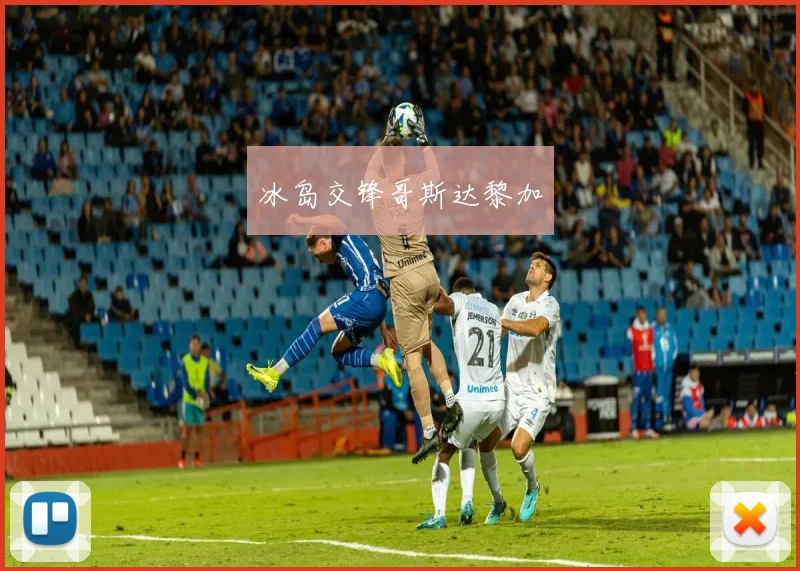 冰岛交锋哥斯达黎加