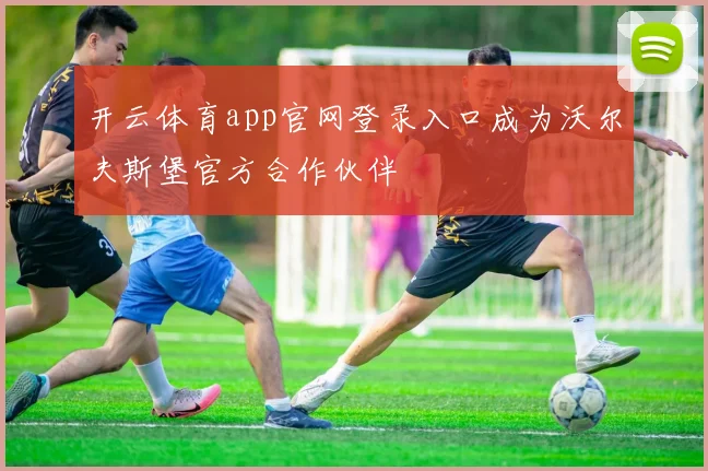 开云体育app官网登录入口成为沃尔夫斯堡官方合作伙伴