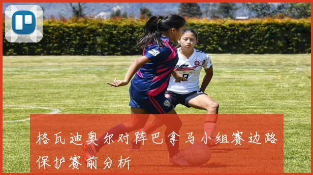 格瓦迪奥尔对阵巴拿马小组赛边路保护赛前分析