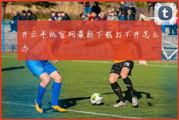 开云手机官网最新下载打不开怎么办
