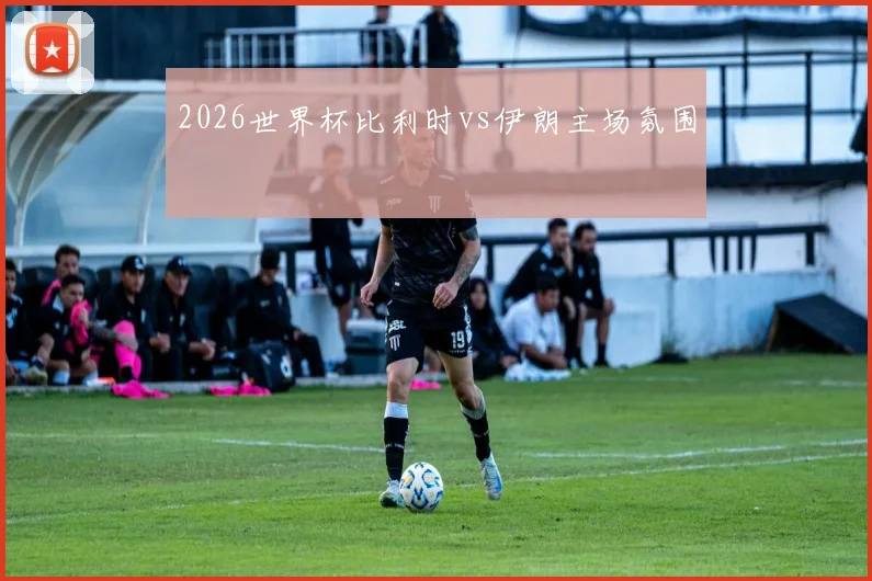 2026世界杯比利时vs伊朗主场氛围